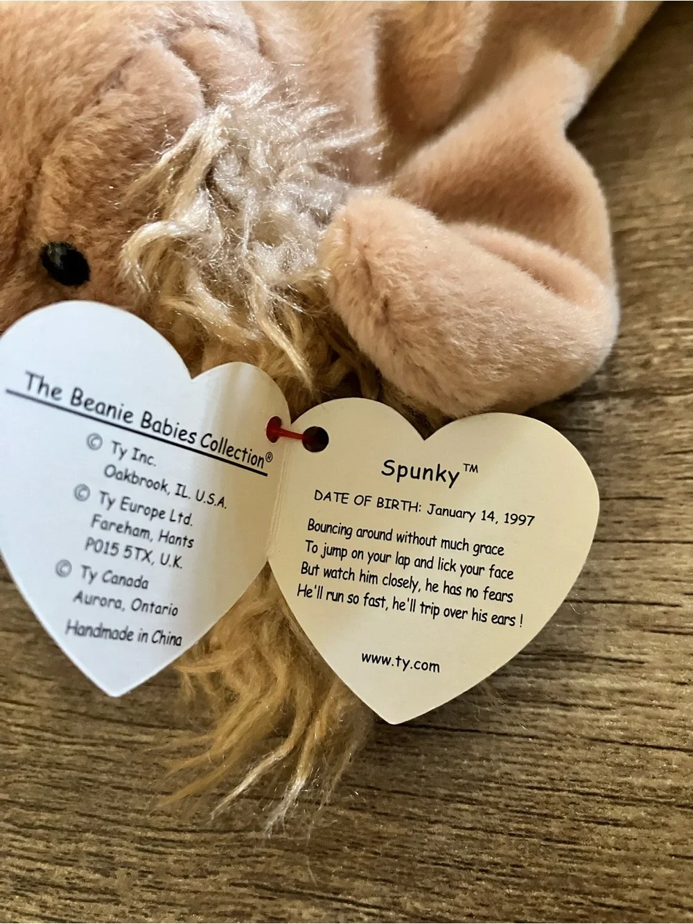 Ty Beanie Baby Beige Plush Cocker Spaniel Dog Toy Spunky